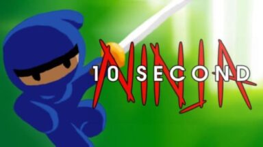 10 Second Ninja Free Download