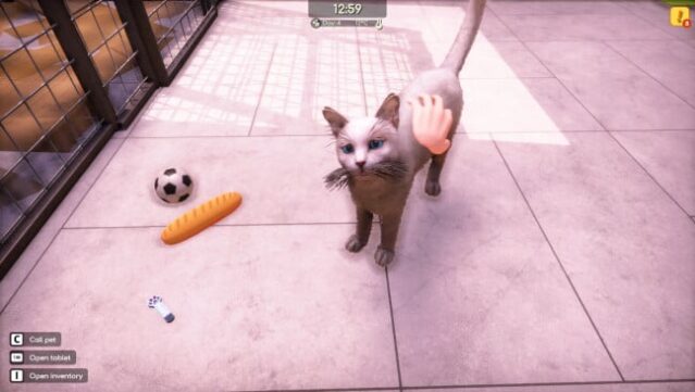 Animal Shelter 2 Free Download gameplay