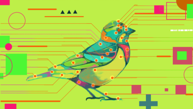 Avian Enigma Free Download
