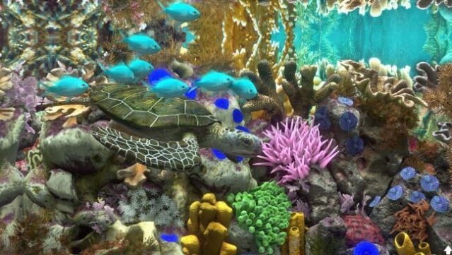 Behind Glass: Aquarium Simulator Free Download gameplay