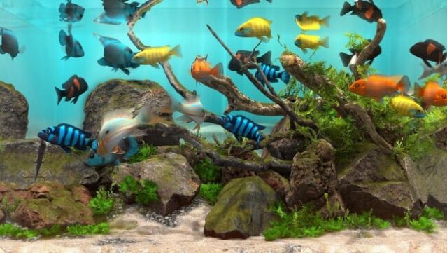 Behind Glass: Aquarium Simulator Free Download