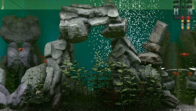 Biotope PC Screenshot