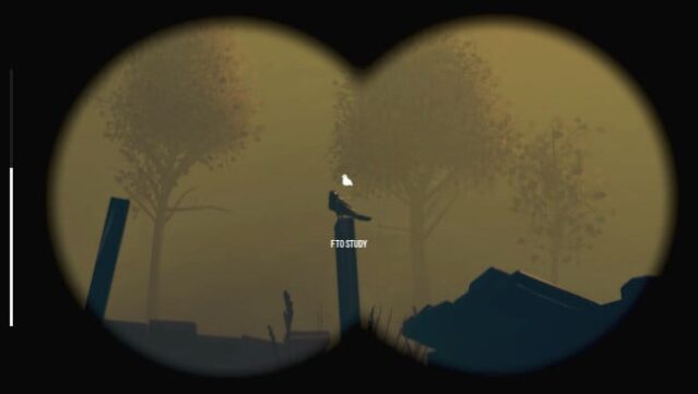 Birds Watching Free Download gameplay