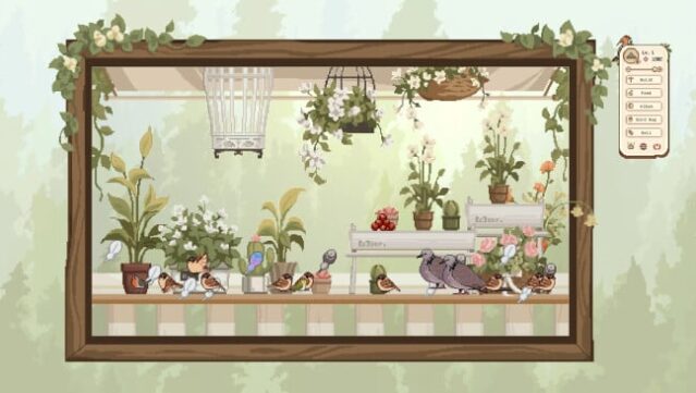 Birdwatching Notebook Free Download gameplay
