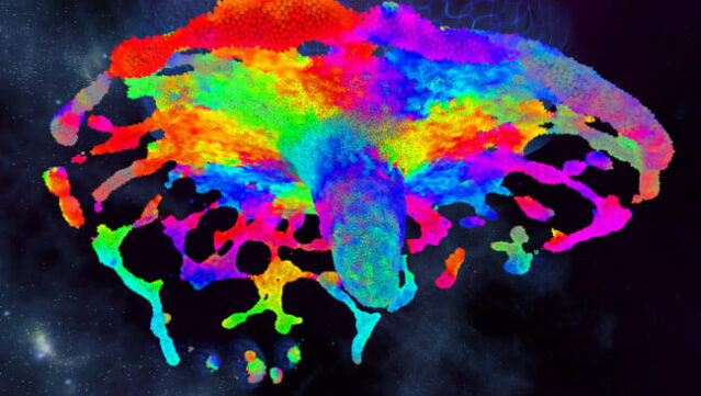 Chroma Lab Free Download