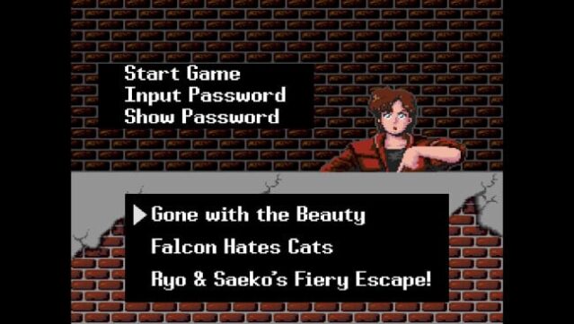 City Hunter Free Download gameplay