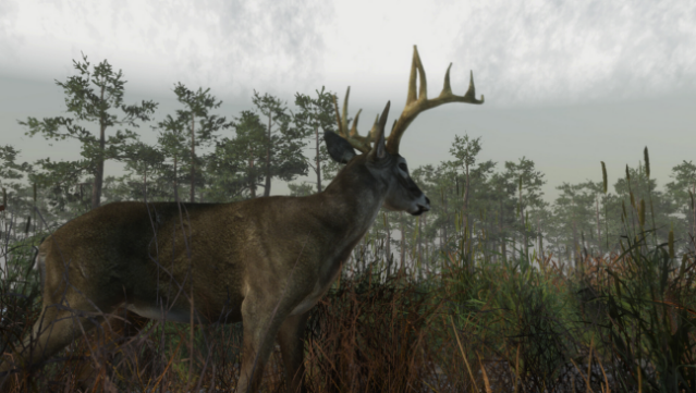 Deer Hunting Camp Free Download