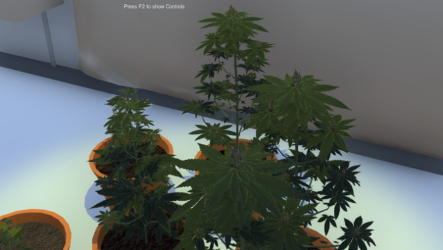 Dr Greenstuff Gameplay Screenshot