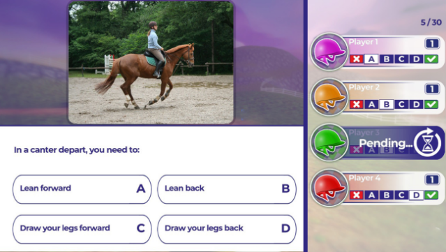 Equestrian Training Free Download gameplay