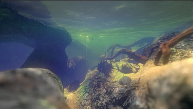 Feed And Grow: Fish Gameplay Screenshot