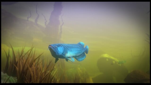 Feed And Grow: Fish PC Screenshot