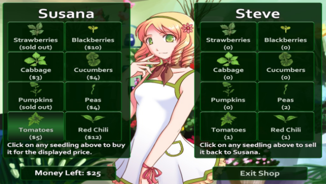 Flower Shop: Summer in Fairbrook Free Download gameplay