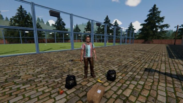 Football Pitch Simulator Free Download gameplay