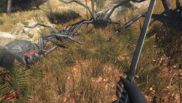 Forest Spiders Free Download