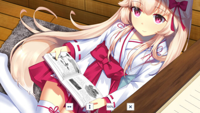 Fox Hime Zero Gameplay Screenshot
