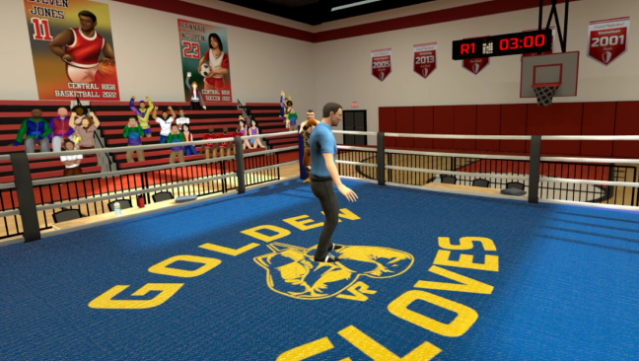 Golden Gloves VR Gameplay Screenshot