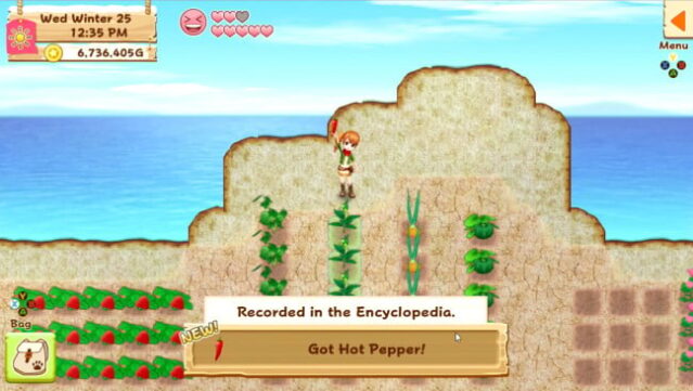 Harvest Moon: Light Of Hope Special Edition Free Download gameplay