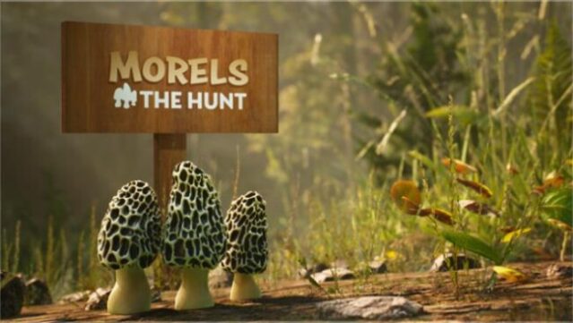 Morels: The Hunt Free Download