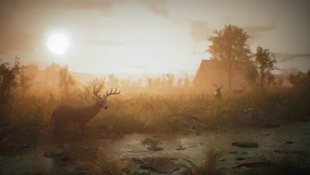 Morels: The Hunt Free Download gameplay