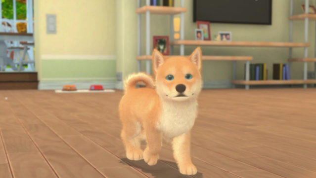 My Universe - Puppies & Kittens Free Download gameplay