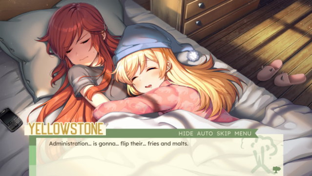 National Park Girls: Love Our Parks Edition Free Download gameplay