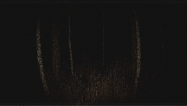 Paranormal VHS PC Screenshot
