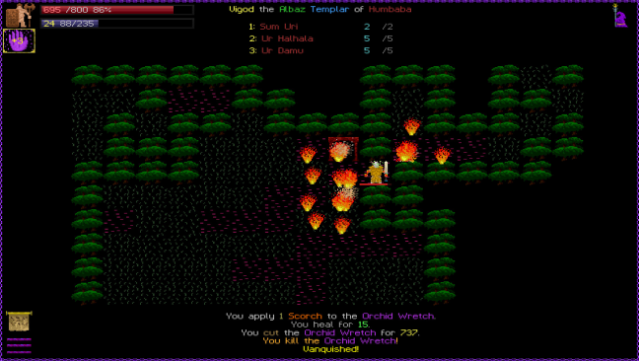 Path of Achra Free Download gameplay