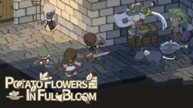 Potato Flowers In Full Bloom Free Download