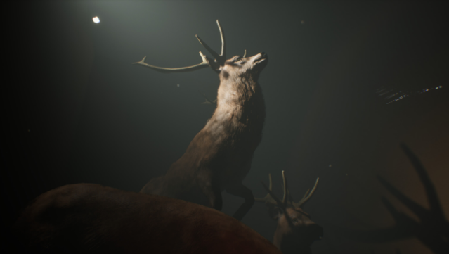 Project 13: Taxidermy Trails Free Download