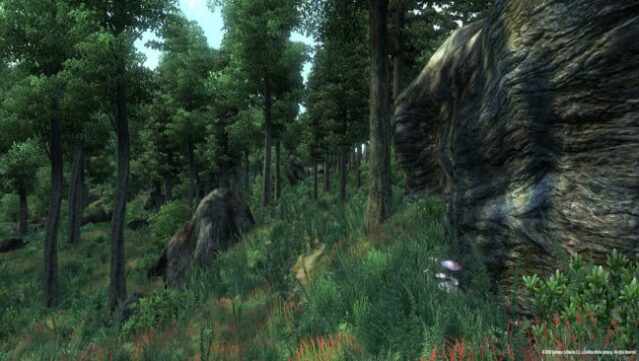 The Elder Scrolls IV: Oblivion Game Of The Year Edition Gameplay Screenshot