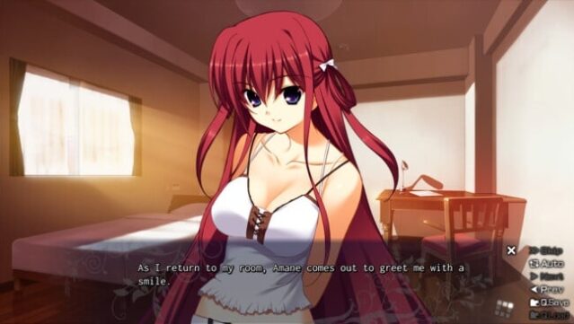 The Labyrinth Of Grisaia Free Download gameplay