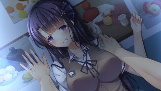 Tricolour Lovestory Free Download gameplay