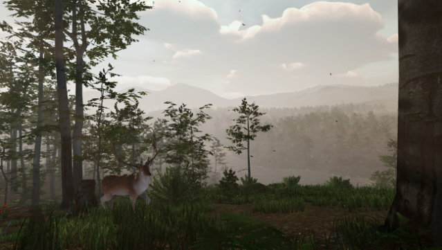 Virtual Hunter Free Download