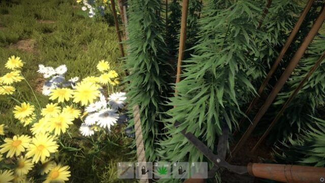 Weed Farmer Simulator Free Download gameplay