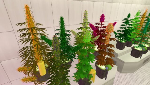 Weed Shop Gameplay Screenshot