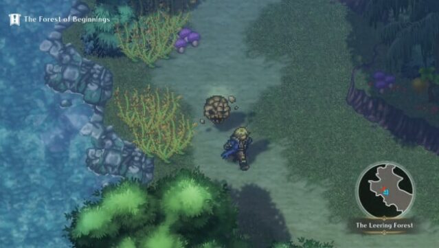 WiZmans World Re;Try Free Download gameplay