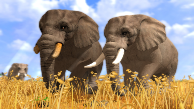 Wildlife Park 3 Free Download