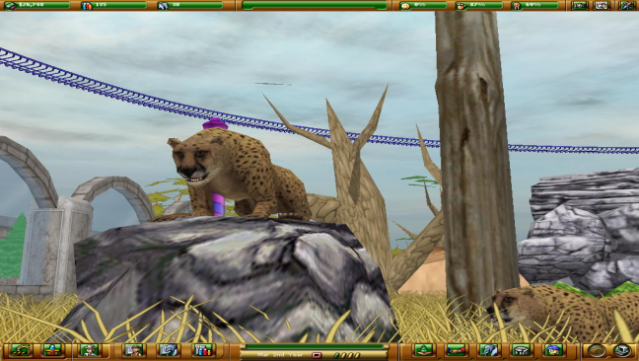 Zoo Empire Free Download gameplay