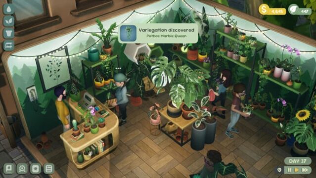 Leafy Corner Gameplay Screenshot