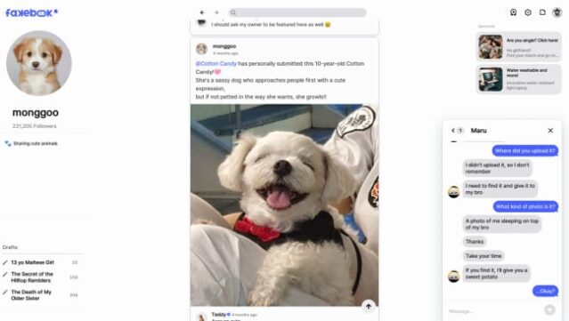 FAKEBOOK PC Screenshot