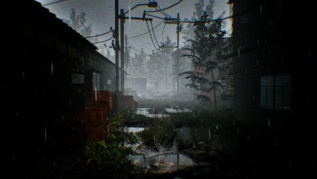 TARO IS BACK PC Screenshot