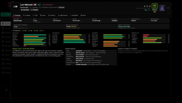 Boxing World Simulator PC Screenshot