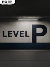Level P Free Download
